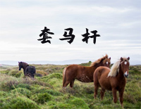 套马杆-C调简单版钢琴谱文件(五线谱、双手简谱、数字谱、Midi、PDF)免费下载
