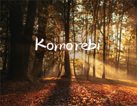 Komorebi-叶隙间洒落的阳光-抖音神曲钢琴谱文件(五线谱、双手简谱、数字谱、Midi、PDF)免费下载