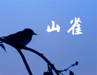 山雀-万能青年旅店钢琴谱文件（五线谱、双手简谱、数字谱、Midi、PDF）免费下载