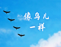 像鸟儿一样-C调简单版-对手主题曲钢琴谱文件(五线谱、双手简谱、数字谱、Midi、PDF)免费下载