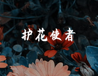 护花使者-C调简单版-西虹市首富插曲钢琴谱文件(五线谱、双手简谱、数字谱、Midi、PDF)免费下载