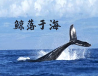 鲸落于海-小星星Aurora钢琴谱文件(五线谱、双手简谱、数字谱、Midi、PDF)免费下载
