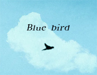 Blue Bird-Vanillare钢琴谱文件(五线谱、双手简谱、数字谱、Midi、PDF)免费下载