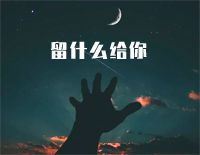留什么给你-简单版-爱都是开始得很美丽结束得没道理钢琴谱文件(五线谱、双手简谱、数字谱、Midi、PDF)免费下载
