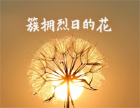 簇拥烈日的花-C调简单版-我的心是簇拥烈日的花在你的眼里找到了家钢琴谱文件(五线谱、双手简谱、数字谱、Midi、PDF)免费下载