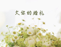欠你的婚礼-简单版-我欠你一场婚礼用星光铺满草地钢琴谱文件（五线谱、双手简谱、数字谱、Midi、PDF）免费下载