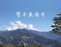 等不来花开-简单版-我们的爱就像秋叶等不到花开钢琴谱文件(五线谱、双手简谱、数字谱、Midi、PDF)免费下载
