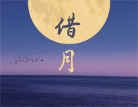 借月-就借这月光再与你对望-抖音钢琴谱文件(五线谱、双手简谱、数字谱、Midi、PDF)免费下载