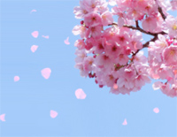 花之舞-大调-Flower Dance-花舞钢琴谱文件(五线谱、双手简谱、数字谱、Midi、PDF)免费下载