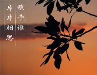 片片相思赋予谁-简单完整版-我在江南君在北 一片痴情空与对钢琴谱文件(五线谱、双手简谱、数字谱、Midi、PDF)免费下载