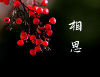 相思-西游记后传ED钢琴谱文件(五线谱、双手简谱、数字谱、Midi、PDF)免费下载