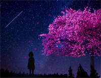 花雨繁星-Flower Dance钢琴谱文件(五线谱、双手简谱、数字谱、Midi、PDF)免费下载
