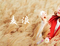 麦浪-风往麦田吹来 在轻晃着我裙摆-人人钢琴网