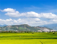 故乡的原风景-故郷の原風景-片段-人人钢琴网