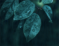 雨的印记-Kiss the Rain-人人钢琴网