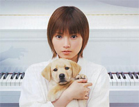 GLORIA 希望の光-GLORIA希望之光-小狗华尔兹插曲-人人钢琴网