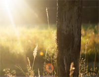 Beautiful Things-Gungor-人人钢琴网