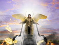 Fallen Angel-TIX-人人钢琴网
