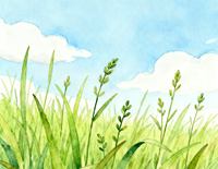 小草-卓依婷-人人钢琴网