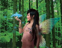 被遗弃的公主-好听版-邓丽欣-人人钢琴网