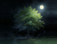 树的花语-莫叔-风轻轻说别追问太多 花开花落都有它的因果-人人钢琴网