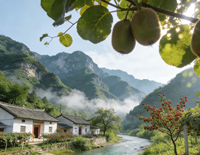 西峡是我家党是妈妈-刘建业-人人钢琴网